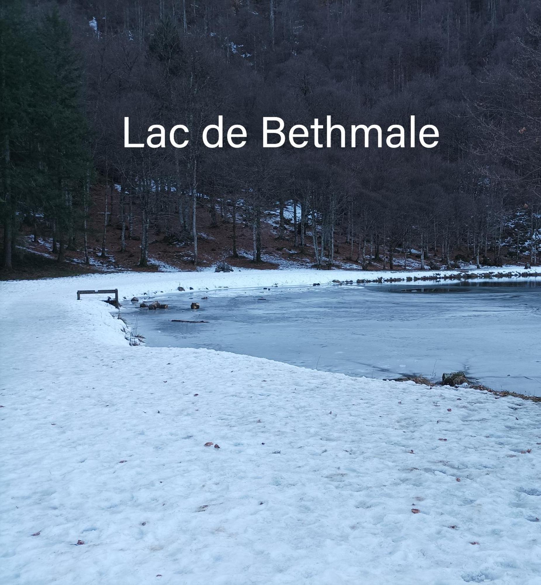 La Note Verte - Parking Gratuit Devant L'Entree Foix Dış mekan fotoğraf